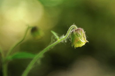 BUITEN BEELD Foto: 93150
