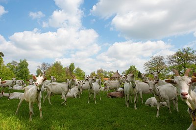 BUITEN BEELD Foto: 93160