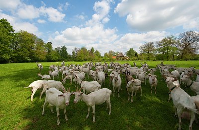 BUITEN BEELD Foto: 93162