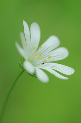 BUITEN BEELD Foto: 93168