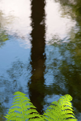 BUITEN BEELD Foto: 93181