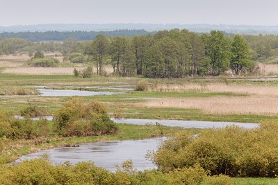 BUITEN BEELD Foto: 93195