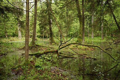 BUITEN BEELD Foto: 93334