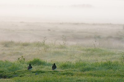 BUITEN BEELD Foto: 93345