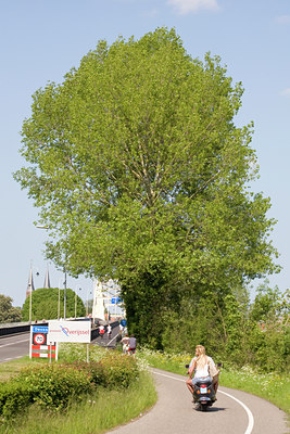 BUITEN BEELD Foto: 93412