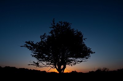 BUITEN BEELD Foto: 93421