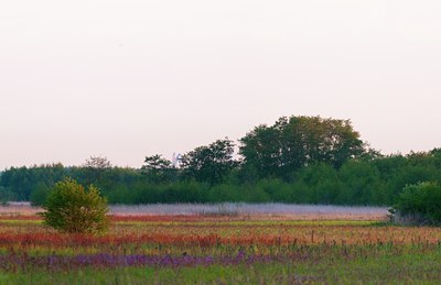 BUITEN BEELD Foto: 93424