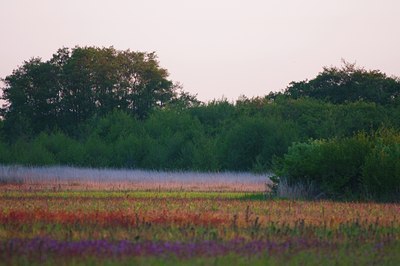 BUITEN BEELD Foto: 93426