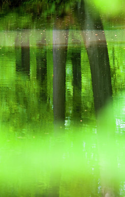 BUITEN BEELD Foto: 93435