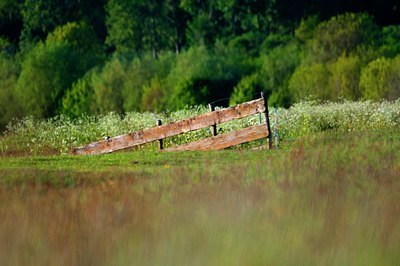 BUITEN BEELD Foto: 93457