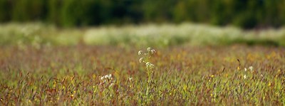BUITEN BEELD Foto: 93464