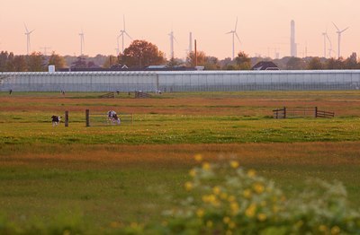 BUITEN BEELD Foto: 93466