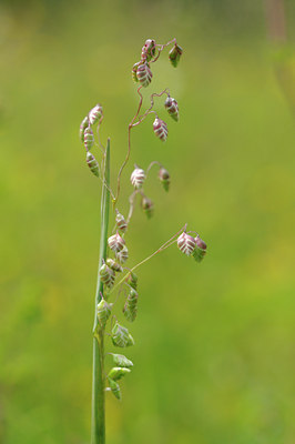 BUITEN BEELD Foto: 93505