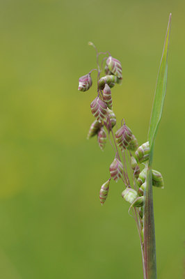 BUITEN BEELD Foto: 93508
