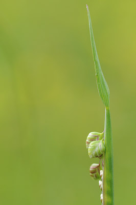 BUITEN BEELD Foto: 93509