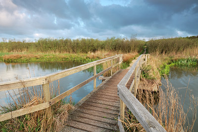 BUITEN BEELD Foto: 93527