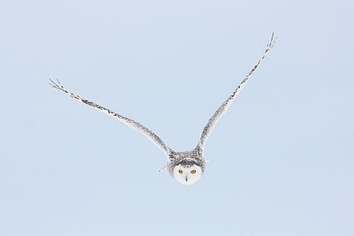 BUITEN BEELD Foto: 93560