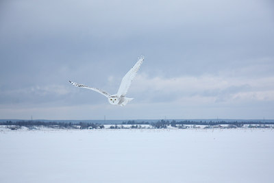 BUITEN BEELD Foto: 93563