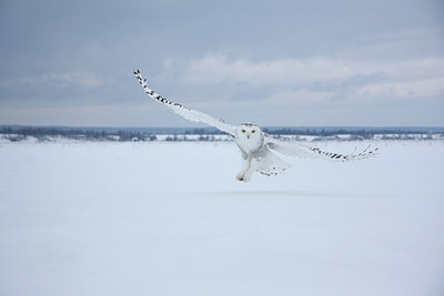 BUITEN BEELD Foto: 93564