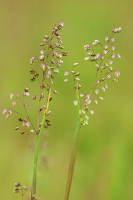 BUITEN BEELD Foto: 93691