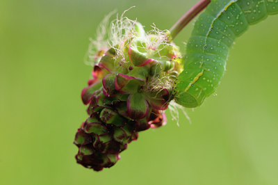 BUITEN BEELD Foto: 93693