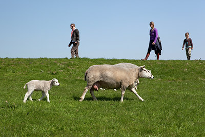 BUITEN BEELD Foto: 93716