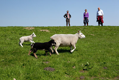 BUITEN BEELD Foto: 93719