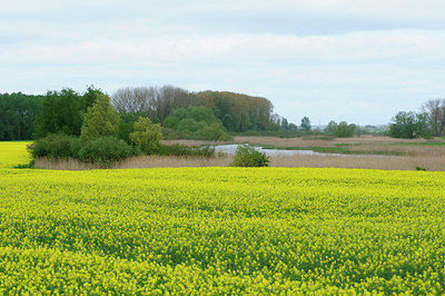 BUITEN BEELD Foto: 93802