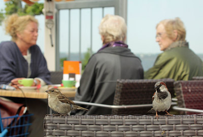 BUITEN BEELD Foto: 93834