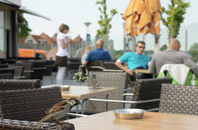 BUITEN BEELD Foto: 93840