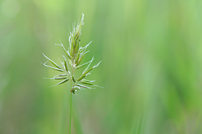 BUITEN BEELD Foto: 93845