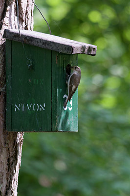 BUITEN BEELD Foto: 93947