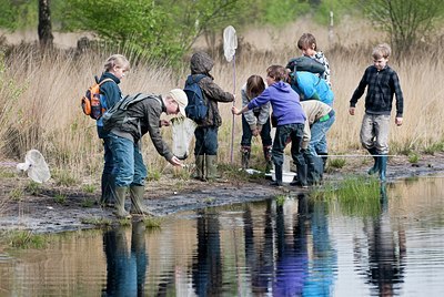 BUITEN BEELD Foto: 93951