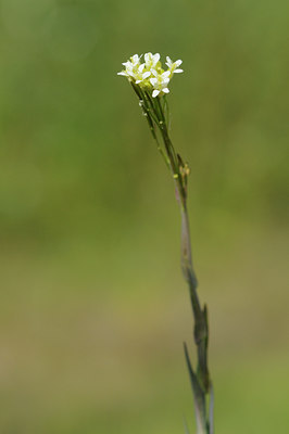 BUITEN BEELD Foto: 94056