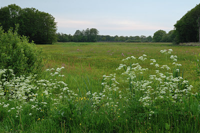 BUITEN BEELD Foto: 94085