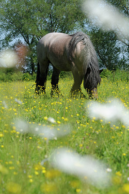 BUITEN BEELD Foto: 94115