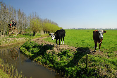 BUITEN BEELD Foto: 94176