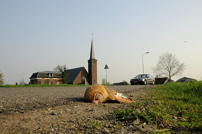 BUITEN BEELD Foto: 94185