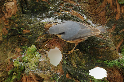 BUITEN BEELD Foto: 94190