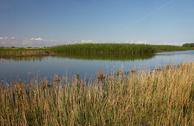 BUITEN BEELD Foto: 94231
