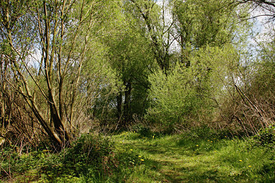 BUITEN BEELD Foto: 94234