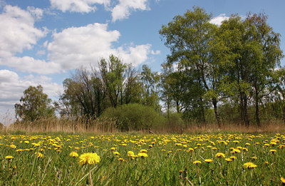 BUITEN BEELD Foto: 94242