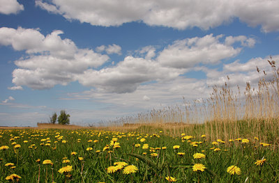 BUITEN BEELD Foto: 94243