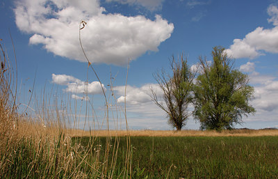 BUITEN BEELD Foto: 94245