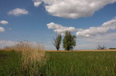 BUITEN BEELD Foto: 94246