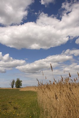 BUITEN BEELD Foto: 94250