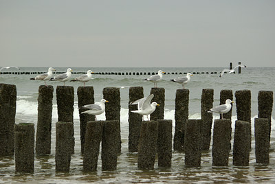 BUITEN BEELD Foto: 94274