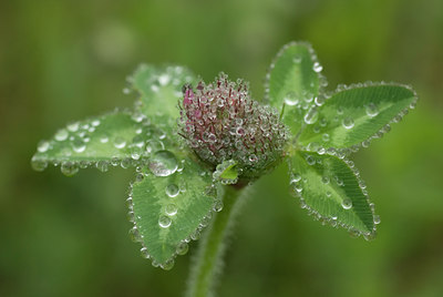 BUITEN BEELD Foto: 94311