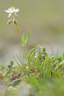 BUITEN BEELD Foto: 94346