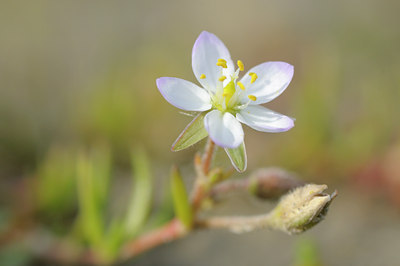 BUITEN BEELD Foto: 94348